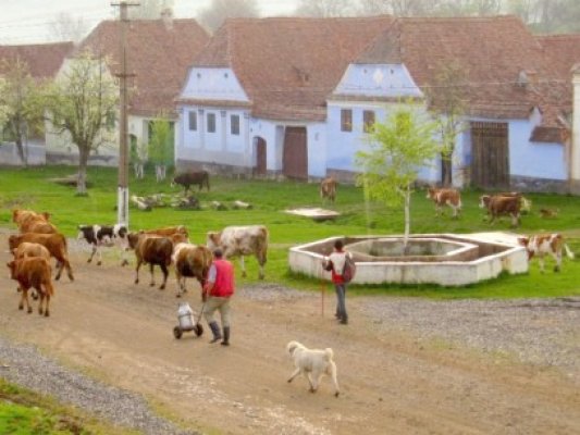 185 de mil. de euro pentru încurajarea turismului la sate